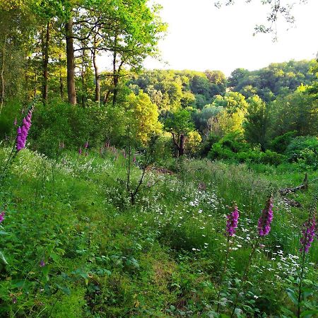 La Cabane Des Beaux Chenes Evrunes Esterno foto