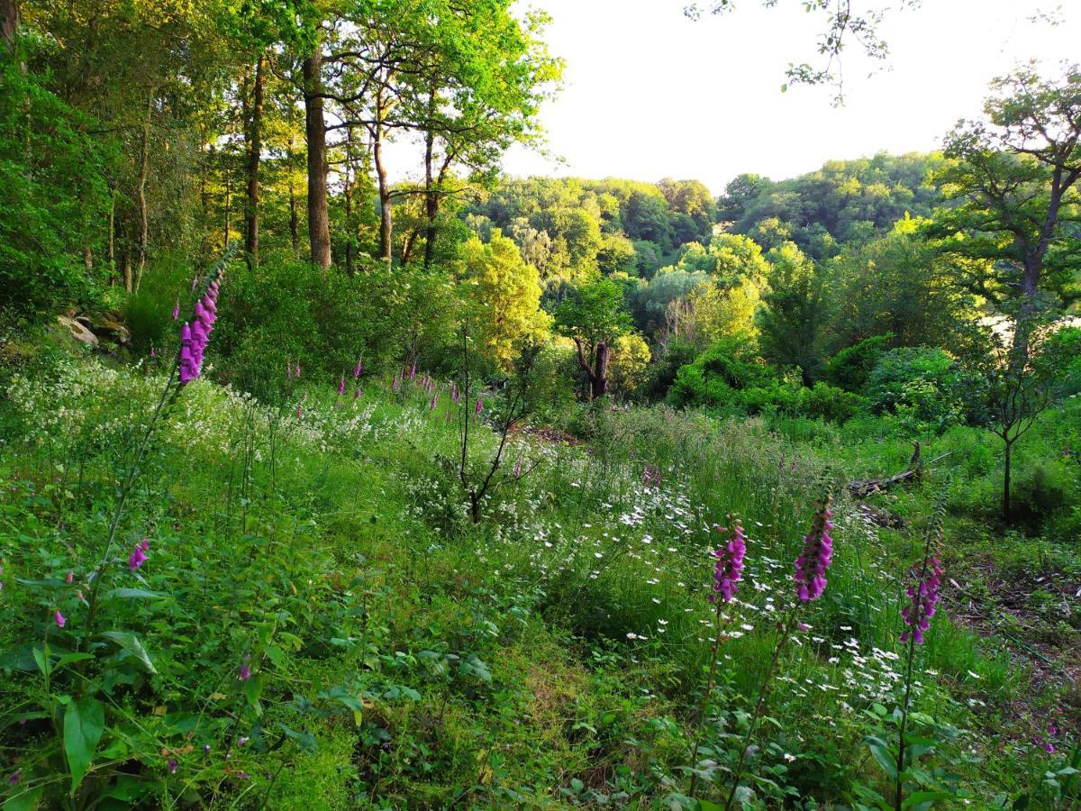 La Cabane Des Beaux Chenes Evrunes Esterno foto